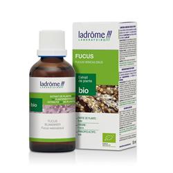 TINTURA MADRE DI FUCUS *Non più assortito