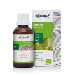 TINTURA MADRE DI GINKGO BILOBA *Non più assortito