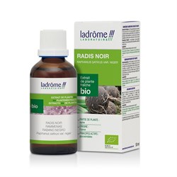 TINTURA MADRE DI RAFANO NERO *Non più assortito
