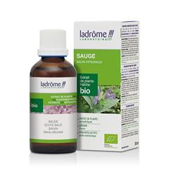TINTURA MADRE DI SALVIA *Non più assortito