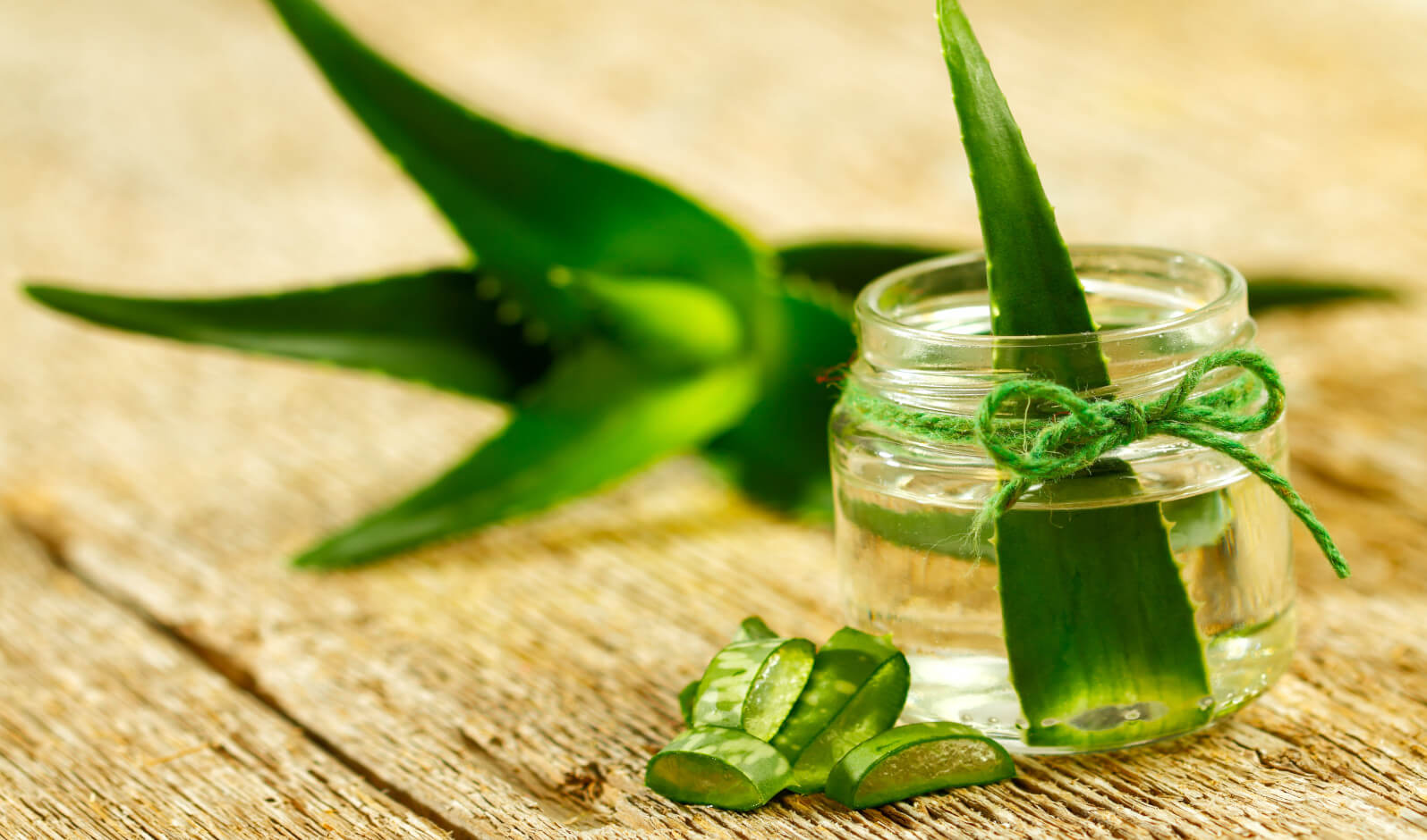 Gel di Aloe vera