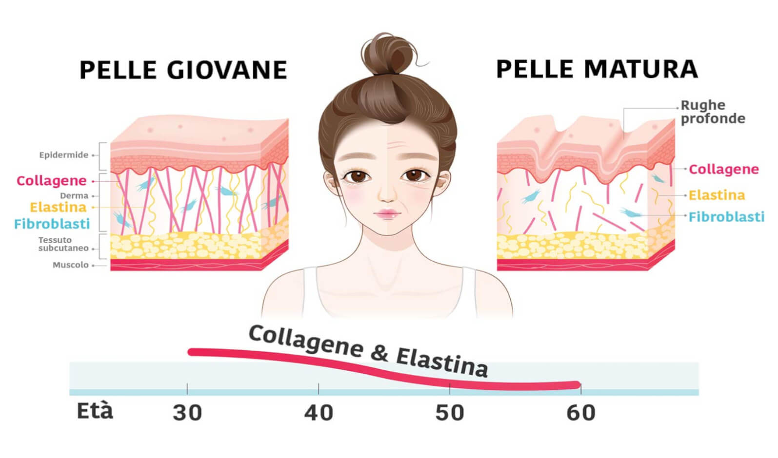 Differenza tra pelle giovane e matura