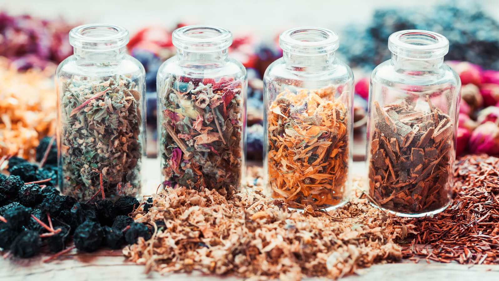 Integratori vegetali