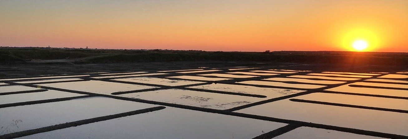 Saline Guérande