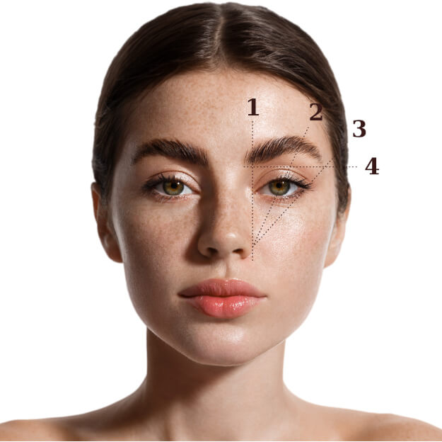 Guida grafica per cambiare forma alle sopracciglia