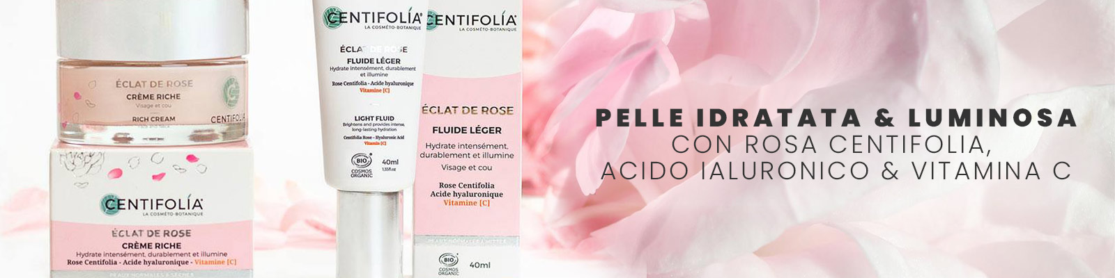 Éclat de Rose di Centifolia