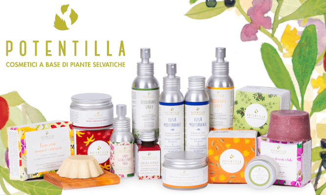 Nuovo brand: Potentilla